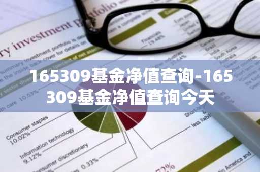 165309基金净值查询-165309基金净值查询今天