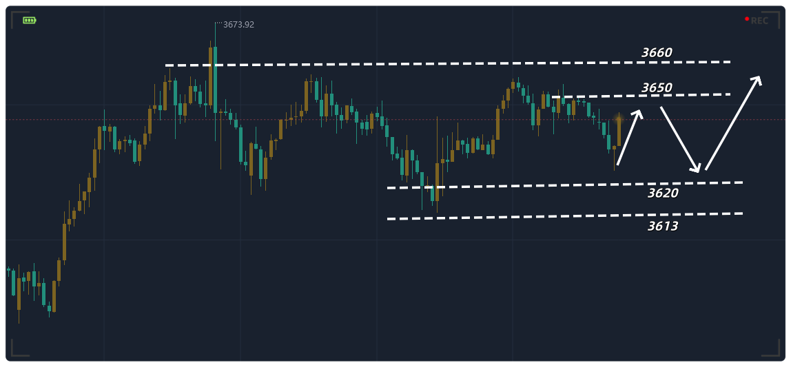 金都城：高位拉扯，注意区间整顿