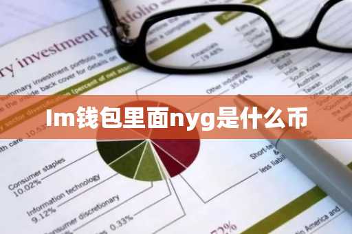 Im钱包里面nyg是什么币