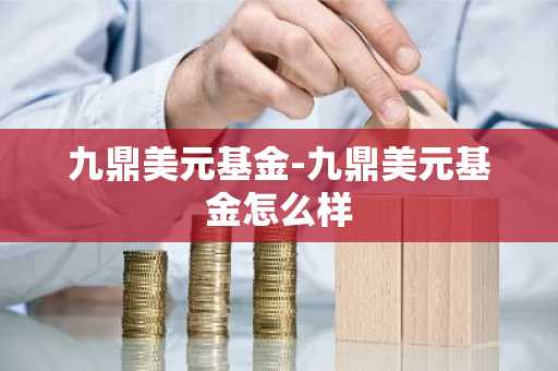 九鼎美元基金-九鼎美元基金怎么样
