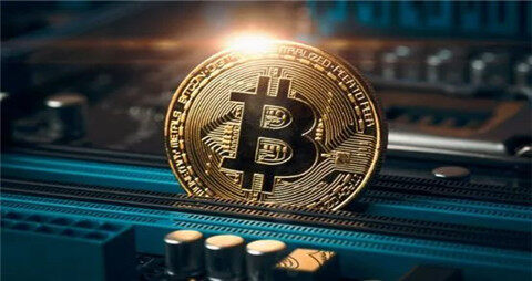 Arbitrum链上宠物PT爆火！采用PT、BPT双代币模式