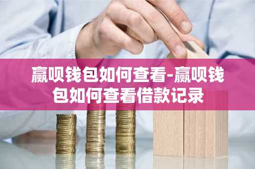 赢呗钱包如何查看-赢呗钱包如何查看借款记录