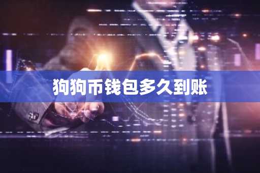 狗狗币钱包多久到账