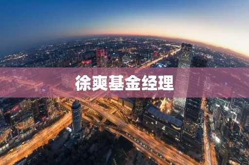徐爽基金经理
