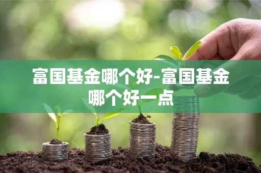 富国基金哪个好-富国基金哪个好一点