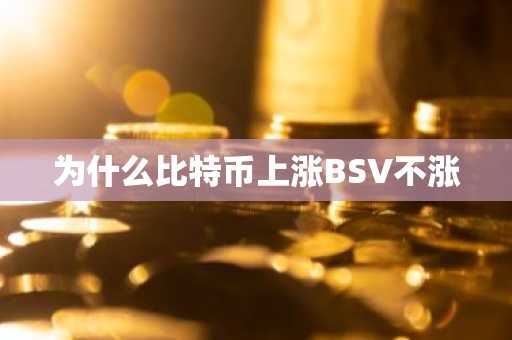 为什么比特币上涨BSV不涨
