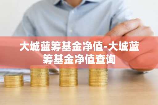 大城蓝筹基金净值-大城蓝筹基金净值查询