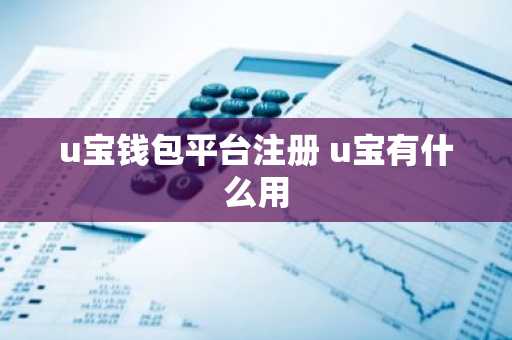 u宝钱包平台注册 u宝有什么用