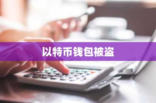 以特币钱包被盗