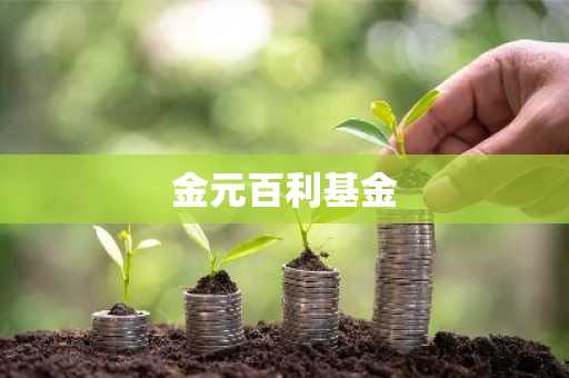 金元百利基金