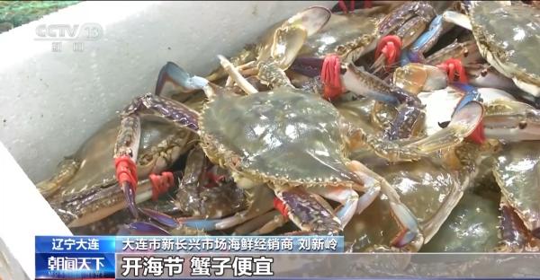 “开海”首个周末 在这里各色海鲜大批量上市了