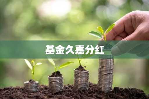 基金久嘉分红