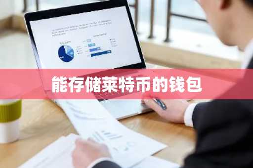 能存储莱特币的钱包