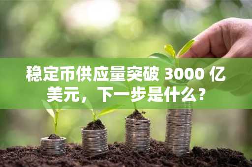 稳定币供应量突破 3000 亿美元，下一步是什么？