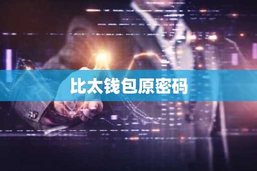 比太钱包原密码