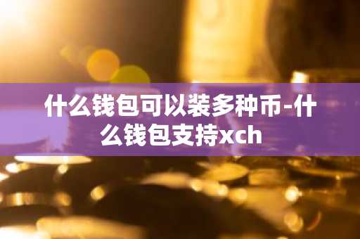 什么钱包可以装多种币-什么钱包支持xch