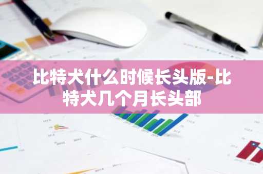 比特犬什么时候长头版-比特犬几个月长头部