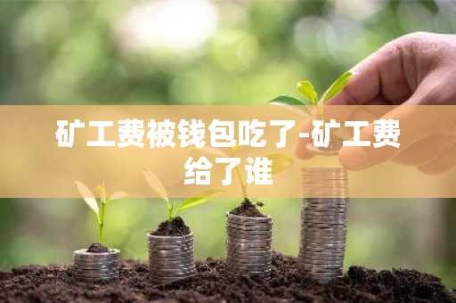 矿工费被钱包吃了-矿工费给了谁