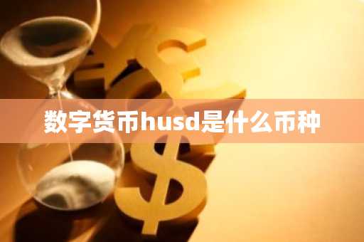 数字货币husd是什么币种