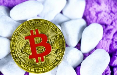 马蹄币价格最新消息（马蹄币今日价格行情走势）