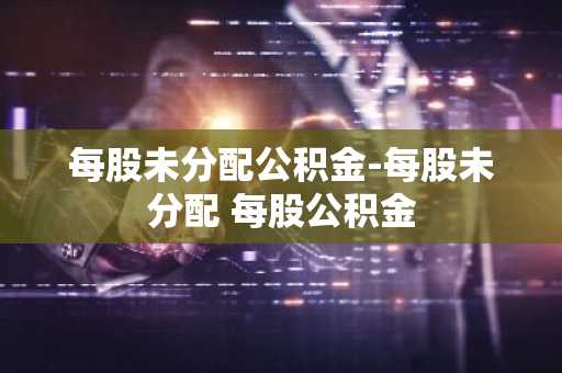 每股未分配公积金-每股未分配 每股公积金