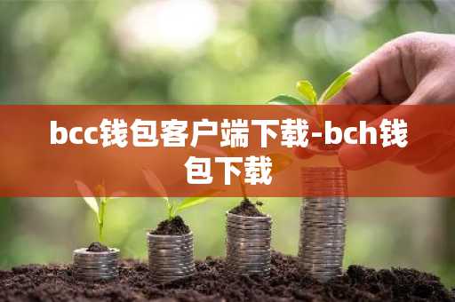 bcc钱包客户端下载-bch钱包下载