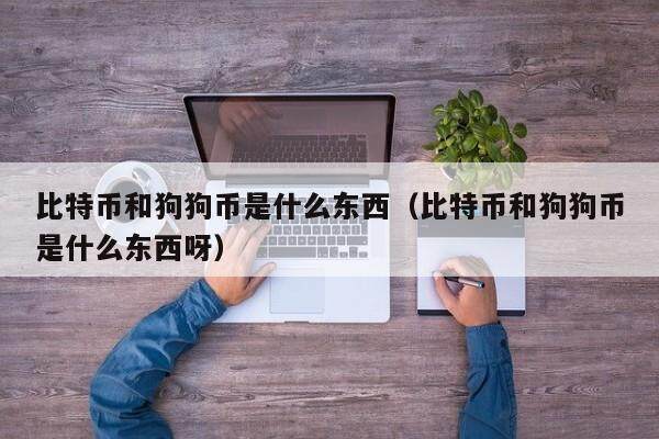 比特币和狗狗币是什么东西（比特币和狗狗币是什么东西呀）