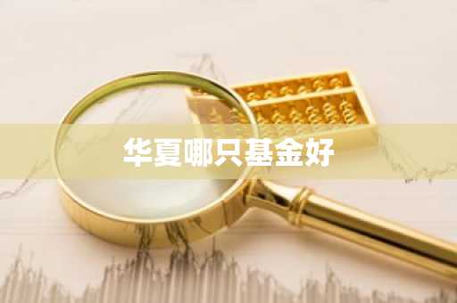 华夏哪只基金好