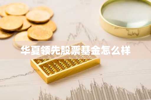 华夏领先股票基金怎么样