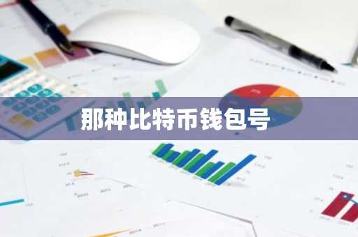 那种比特币钱包号