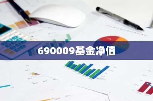 690009基金净值