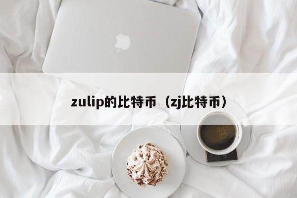 zulip的比特币（zj比特币）