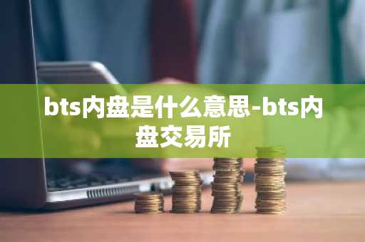 bts内盘是什么意思-bts内盘交易所