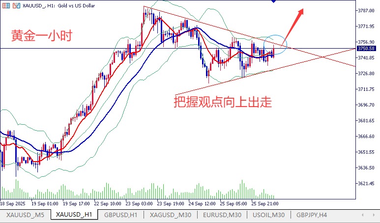 王导：黄金3736多如期上涨 欧盘继续多