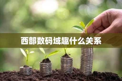 西部数码域趣什么关系