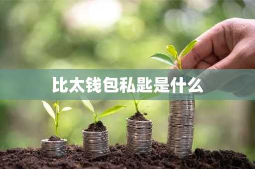 比太钱包私匙是什么