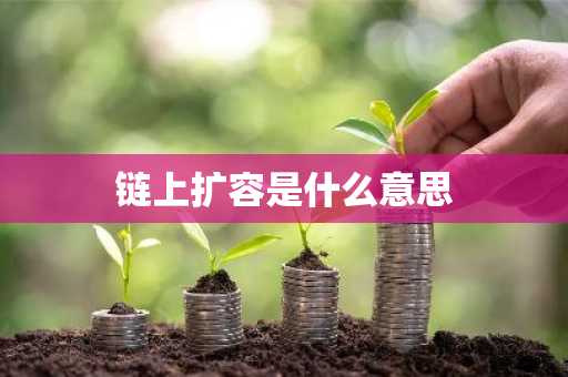 链上扩容是什么意思