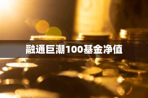 融通巨潮100基金净值