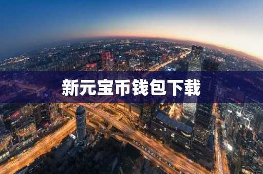 新元宝币钱包下载