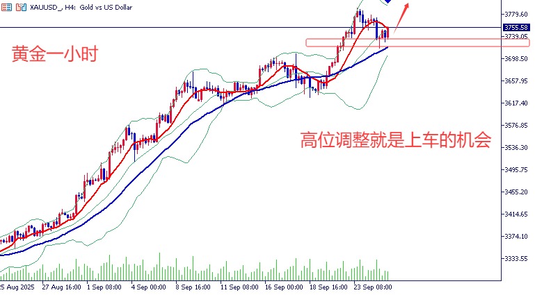 王导：黄金3732多又稳了　　云守中！