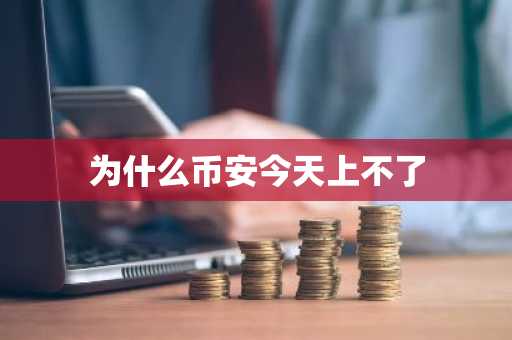 为什么币安今天上不了