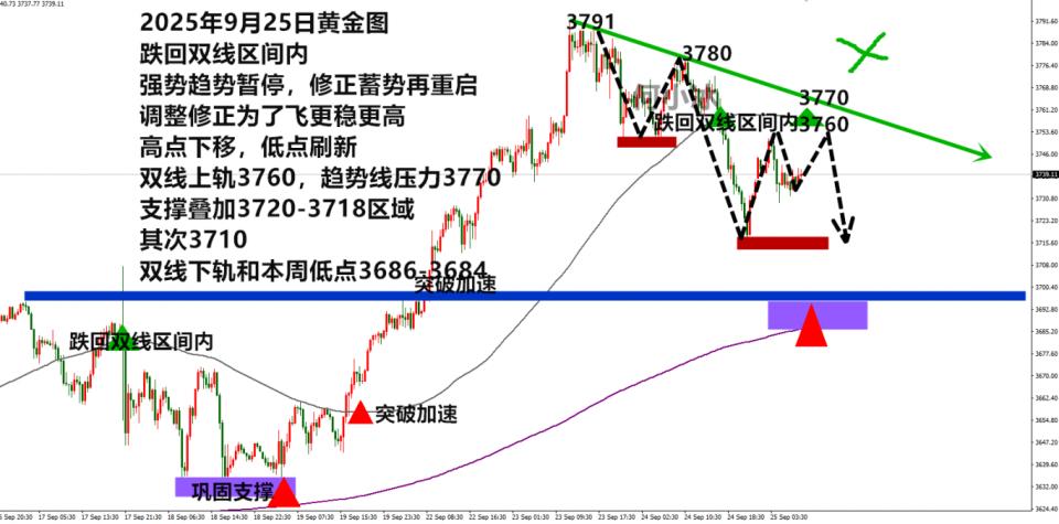 何小冰：金价确定进入调整修正，大起大落仍是常态