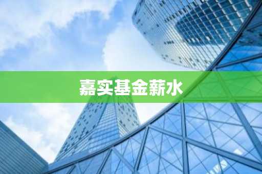 嘉实基金薪水