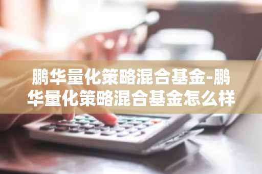 鹏华量化策略混合基金-鹏华量化策略混合基金怎么样