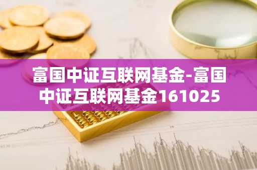 富国中证互联网基金-富国中证互联网基金161025
