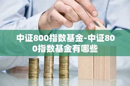 中证800指数基金-中证800指数基金有哪些