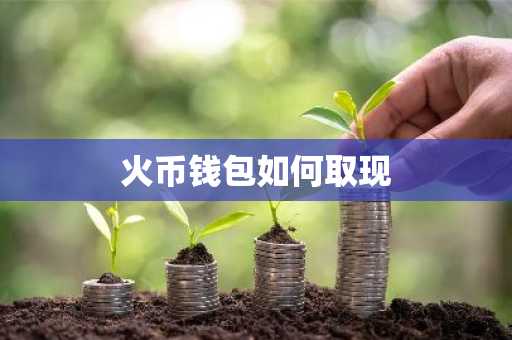 火币钱包如何取现