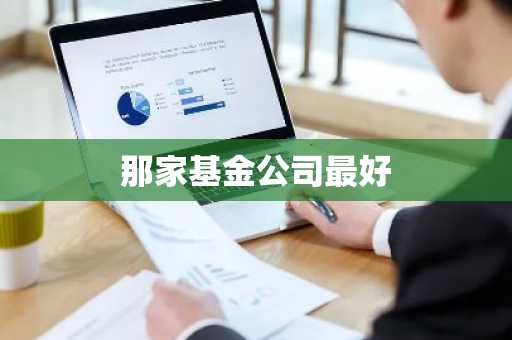 那家基金公司最好