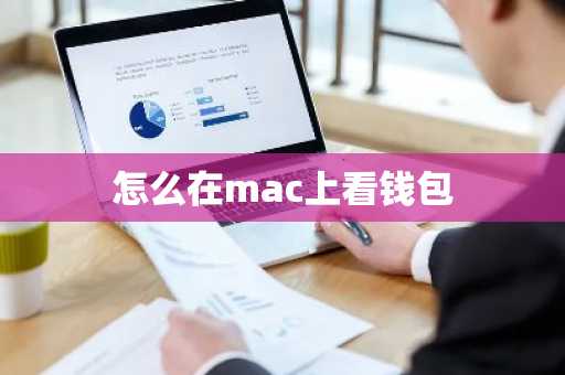怎么在mac上看钱包