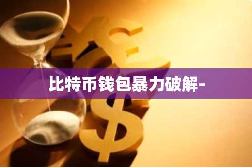 比特币钱包暴力破解-
